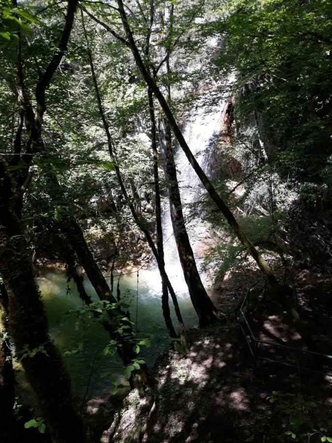 Kuca Za Odmor Luna Buje Dış mekan fotoğraf