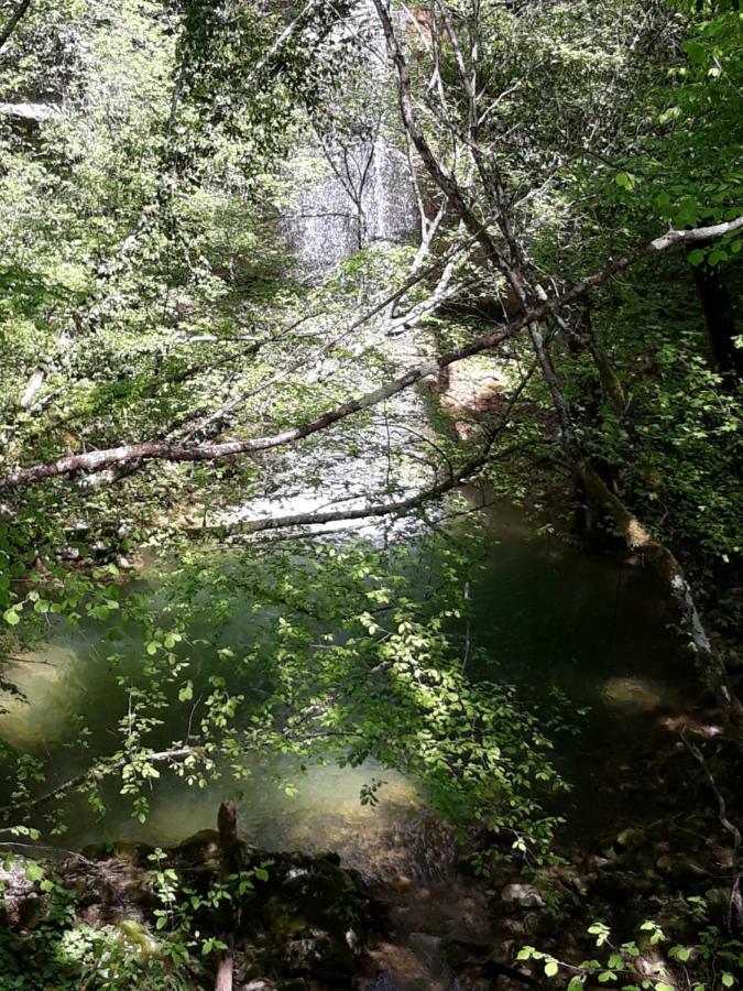 Kuca Za Odmor Luna Buje Dış mekan fotoğraf